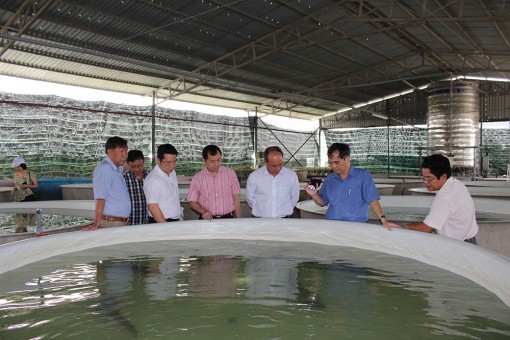 An toàn thực phẩm trong nông nghiệp
