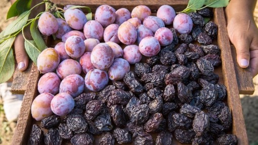 Loại quả kỳ diệu tiêu diệt tế bào ung thư vú