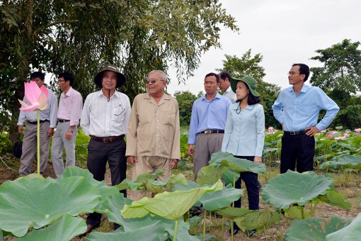 Tạo sức bật để Châu Thành phát triển bền vững