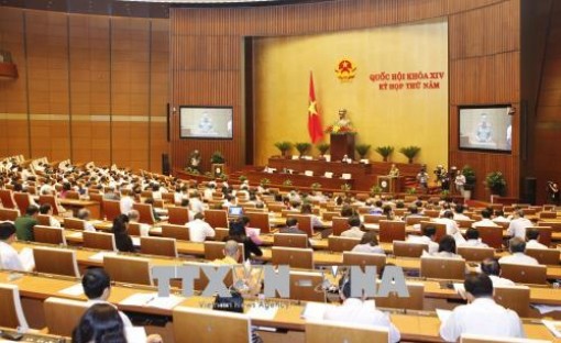 Ngày 11-6, Quốc hội thảo luận, cho ý kiến về hai dự án Luật