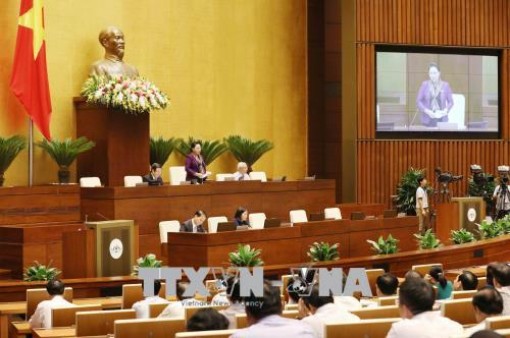 Cần phân định tính chất đặc trưng của đặc xá so với chính sách khoan hồng khác