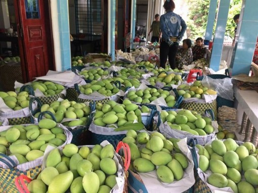 Đồng Tháp thành lập Tổ thông tin và Phân tích thị trường nông sản