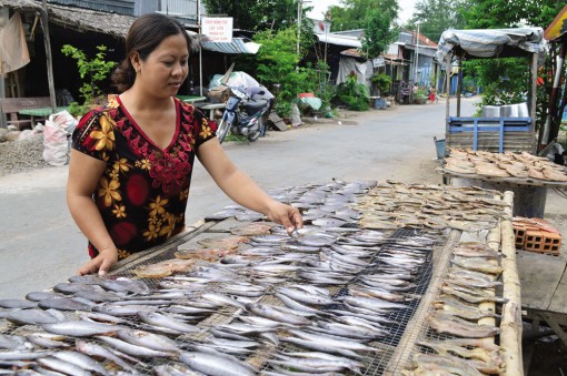 Xứ khô đầu nguồn