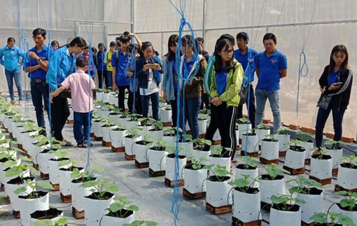 Thắp lên khát vọng khởi nghiệp