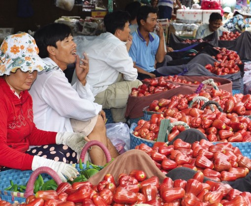 Ngọt ngào hương vị trái cây mùa hè