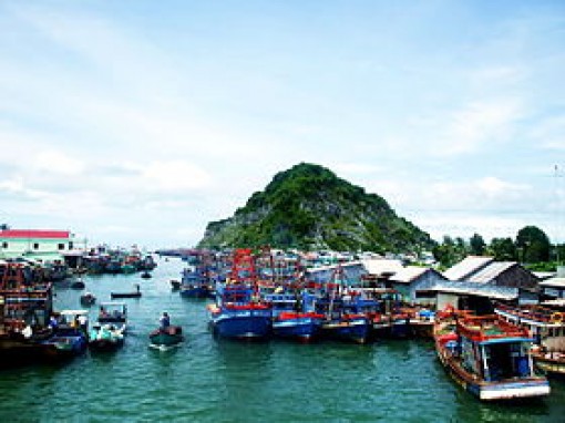 Kiên Giang: Tránh giải thể chỗ này, phình ra chỗ kia