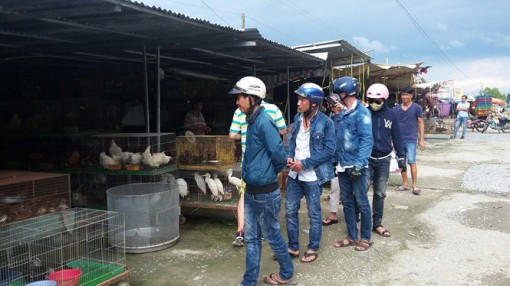 Phải đóng cửa chợ nông sản tận diệt chim trời