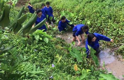 Trải nghiệm sông nước miệt vườn giữa lòng Tây Đô