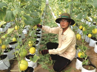 10 năm thực hiện chính sách “Tam nông” ở An Giang