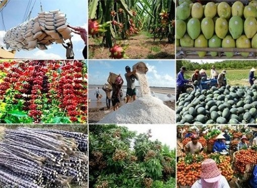 Nông nghiệp số là đòn bẩy gia tăng giá trị nông sản