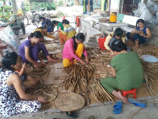 Lục bình... ra phố