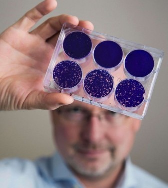 Virus bại liệt được 'hồi sinh' để trị ung thư não