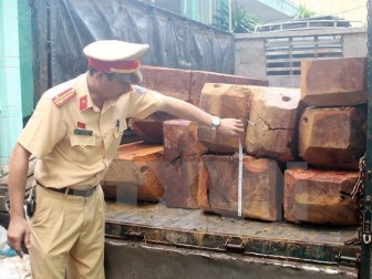 Vụ bắt giữ gỗ lậu lớn ở Đắk Nông: Khởi tố và truy nã thêm 2 bị can
