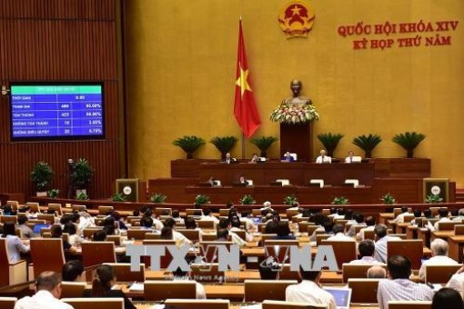 Tăng hiệu quả thực thi pháp lý, ngăn chặn cạnh tranh không lành mạnh