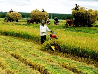 Phó Thủ tướng Trịnh Đình Dũng trực tiếp chỉ đạo việc tái cơ cấu ngành nông nghiệp