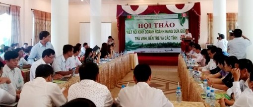 Trà Vinh và Bến Tre kết nối kinh doanh dừa