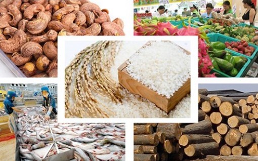 Xuất khẩu nông sản năm 2018 có thể đạt tới 41 tỷ USD