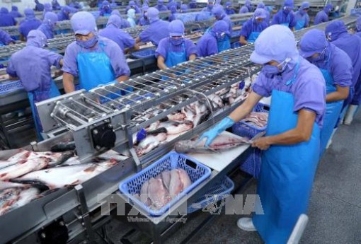 Mức tăng lương tối thiểu vùng năm 2019 là bao nhiêu?