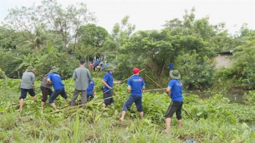 Tiền Giang: Cả tỉnh ra quân trục vớt lục bình