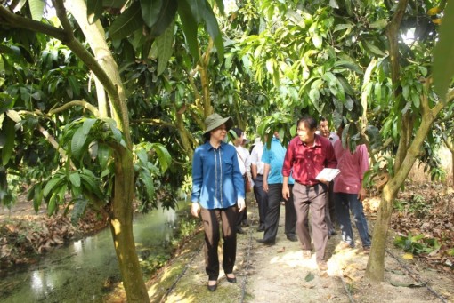 Chợ Mới đầu tư hạ tầng, dịch vụ phát triển du lịch