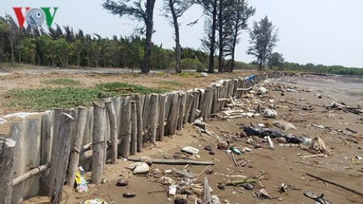 Các địa phương nỗ lực “cứu” đất ven biển ĐBSCL