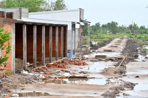 Cà Mau: Hơn 294 ha đất cho thuê, mượn không đúng quy định