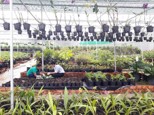 Đóng góp của nữ đoàn viên trong phong trào thi đua yêu nước