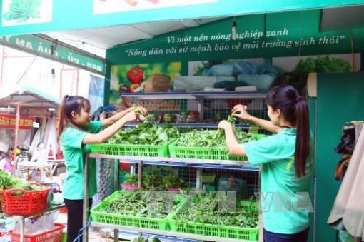 Việt Nam chia sẻ kinh nghiệm về phát triển Nông nghiệp Xanh tại LHQ