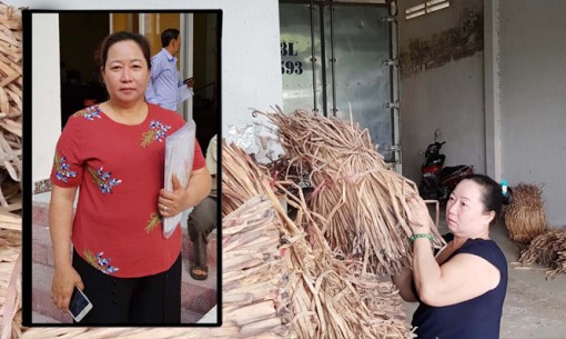 'Nữ hoàng lục bình' 8 năm đi đòi công lý