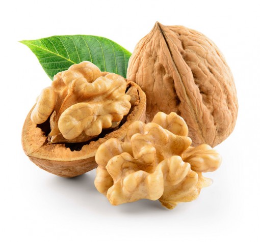 Ức chế khối u ung thư bằng a xít béo omega-3