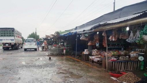 Long An: Không còn tình trạng chim, cò bị vặt lông, treo ngược để bán gây phản cảm