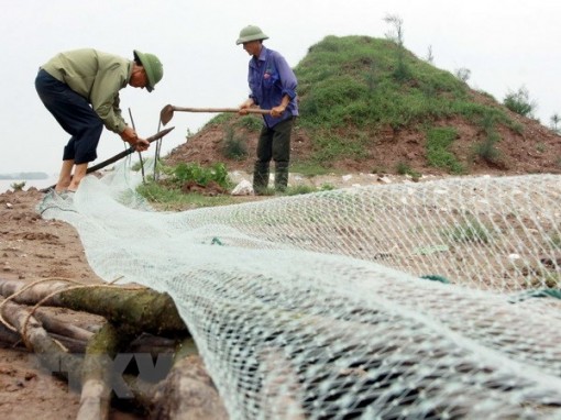 Phó Thủ tướng chỉ đạo theo dõi chặt diễn biến bão số 3