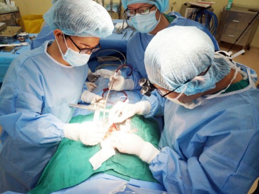 Cần Thơ: Cứu sống bệnh nhân đã ngưng tim, ngưng thở khi nhập viện