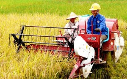 “Tam nông” khởi sắc sau 10 năm thực hiện Nghị quyết 26