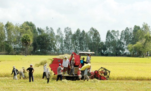 Nỗ lực, quyết tâm thực hiện thắng lợi nhiệm vụ năm 2018