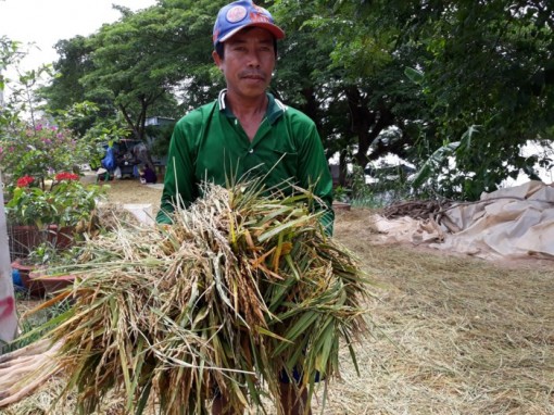 Dân miền Tây thiệt hại nặng vì... nước lũ