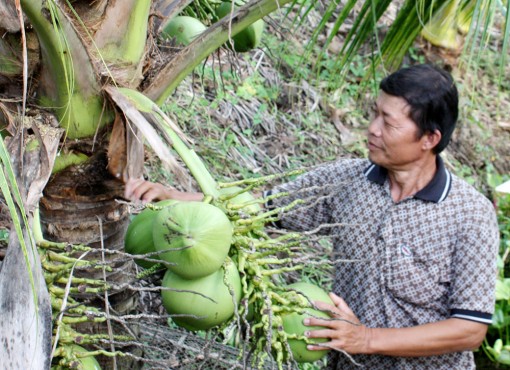 Cựu chiến binh gương mẫu