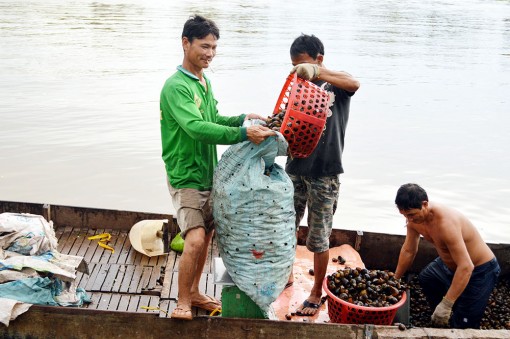 An Giang: Sẵn sàng đón mùa lũ mới