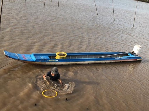 Về miệt biển rừng nghe lại chất phương Nam
