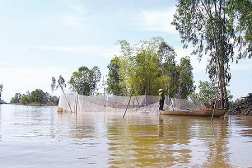 ĐBSCL chủ động ứng phó lũ