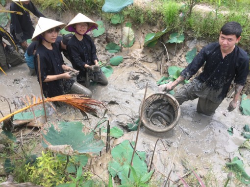 Chung sức làm du lịch homestay