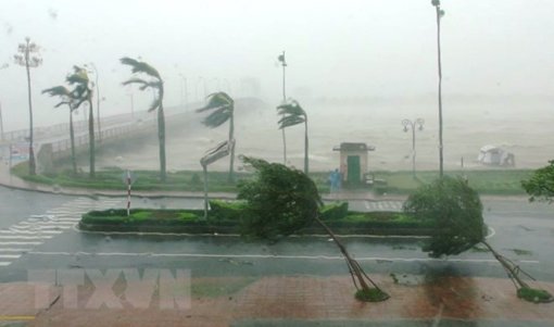 Tháng Tám có thể sẽ xuất hiện 1-2 cơn bão ảnh hưởng đến đất liền