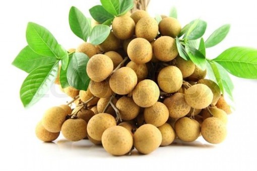 Bà bầu có nên ăn nhãn không?