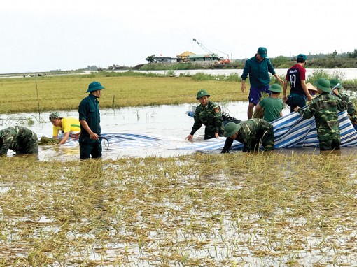 Đầu nguồn chống lũ