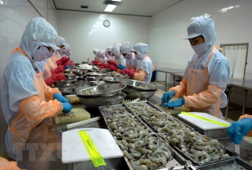 Dự báo xuất khẩu thủy sản quý 3 đạt khoảng 2,7 tỷ USD, tăng 13%