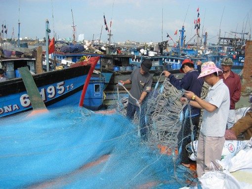 Phó Thủ tướng Trịnh Đình Dũng: Kiên quyết không để EC rút thẻ đỏ