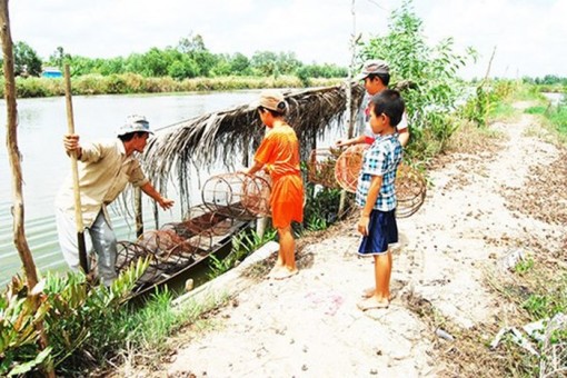 Thả lờ ngày mưa