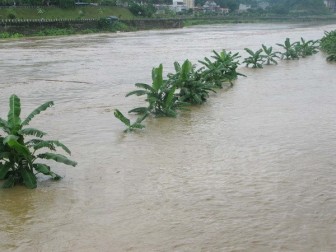 Xuất hiện lũ lớn trên sông Hồng, sông Chảy đoạn qua tỉnh Lào Cai