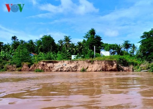 Sạt lở ở ĐBSCL có những dấu hiệu phức tạp ngay đầu mùa nước nổi