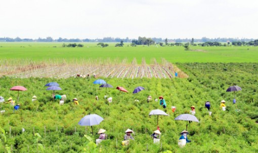 An Giang và tiềm năng thu hút đầu tư